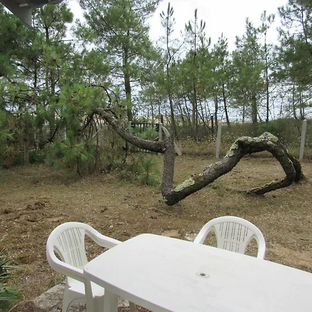 Maison Renovee Proche Ocean, Animaux Admis, Wifi, Parking - Fr-1-194-311 *
