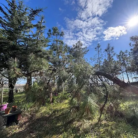 Maison Rénovée Proche Océan, Animaux Admis, Wifi, Parking - Fr-1-194-311