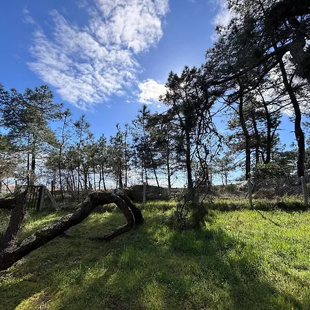 Maison Renovee Proche Ocean, Animaux Admis, Wifi, Parking - Fr-1-194-311 La Faute-sur-Mer