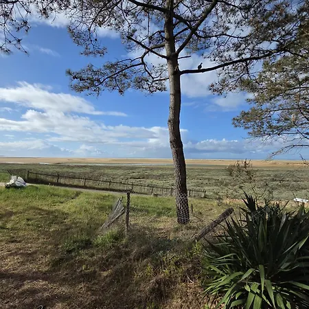 Maison Renovee Proche Ocean, Animaux Admis, Wifi, Parking - Fr-1-194-311 Σπίτι διακοπών *
