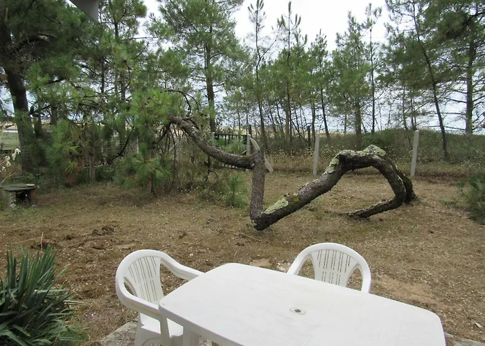 Maison Rénovée Proche Océan, Animaux Admis, Wifi, Parking - Fr-1-194-311 *