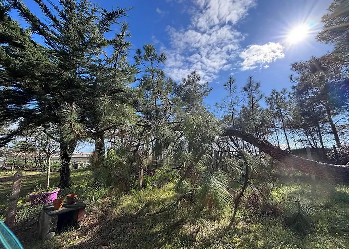 Maison Rénovée Proche Océan, Animaux Admis, Wifi, Parking - Fr-1-194-311