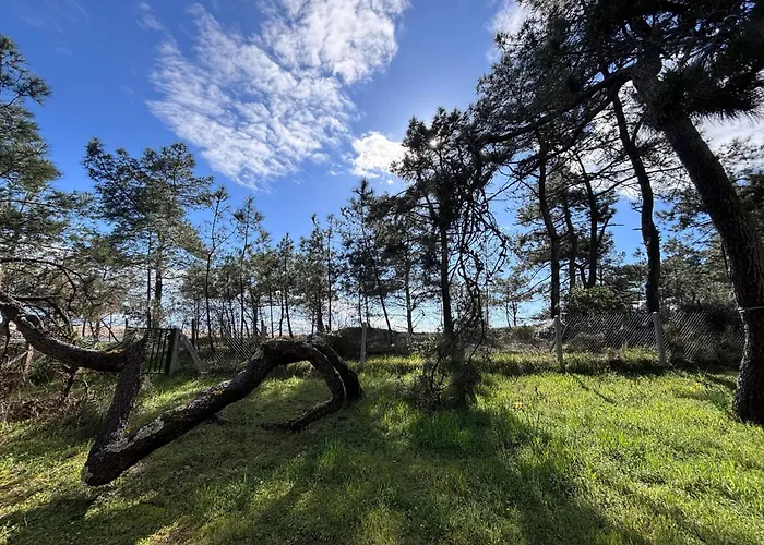 Maison Rénovée Proche Océan, Animaux Admis, Wifi, Parking - Fr-1-194-311 La Faute-sur-Mer